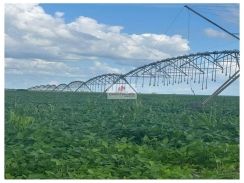 Fazenda na região de Cotegipe-BA, com 1.269 hectares, com 100 hectares de Pivot