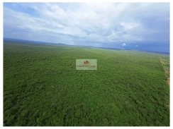 Fazenda na região de Pimenteiras-PI, com 2400 hectares, dupla aptidão