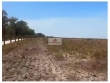 Fazenda na região de Piracuruca, com 464 hectares,