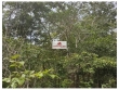 Fazenda com 1053 hectares, pecuária